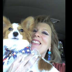 🐾❣️MEET BLAZE OF GLORY& MY PUPS❣️🐾